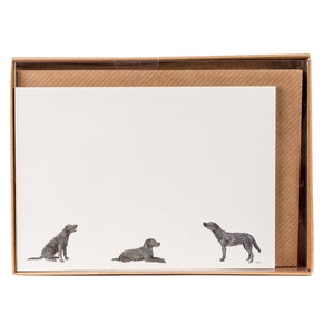 Labrador Correspondence Postkarten