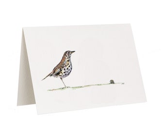 Thrush Bird Greetings Card