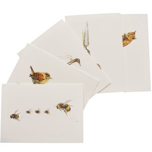 May include: A set of watercolour art cards displaying illustrations of wildlife. The cards feature detailed depictions of birds, bees, and other natural elements. The artwork is rendered in soft, natural colours, creating a serene and artistic aesthetic.