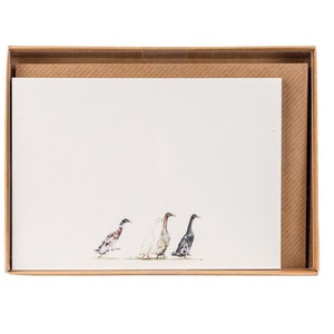 Runner Ducks Schriftkorrespondenz Postkarten