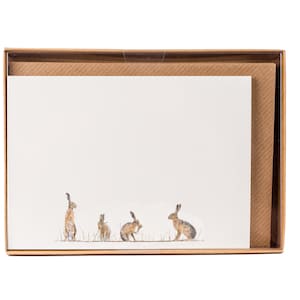 Hase auf Postkarten