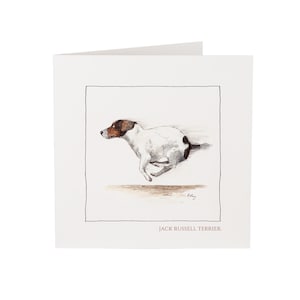 Carte de voeux Jack Russell Terrier