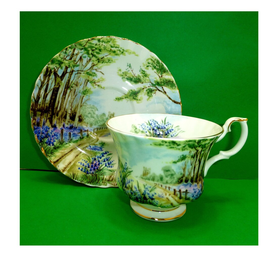 Vintage Royal Albert Tea Cup Saucer Set Country Scenes Etsy