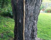 57 quot Allegheny Mountain Walking Sticks Pennsylvania Wood Hand Crafted Walking Hiking Trekking Camping Stick Natural Color OOAK