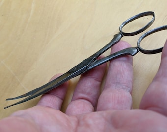 19th century Steel curved blade round ended pet grooming scissors - Pearce