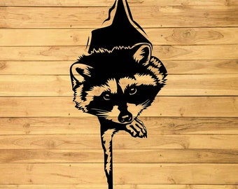 Download Raccoon Svg Etsy