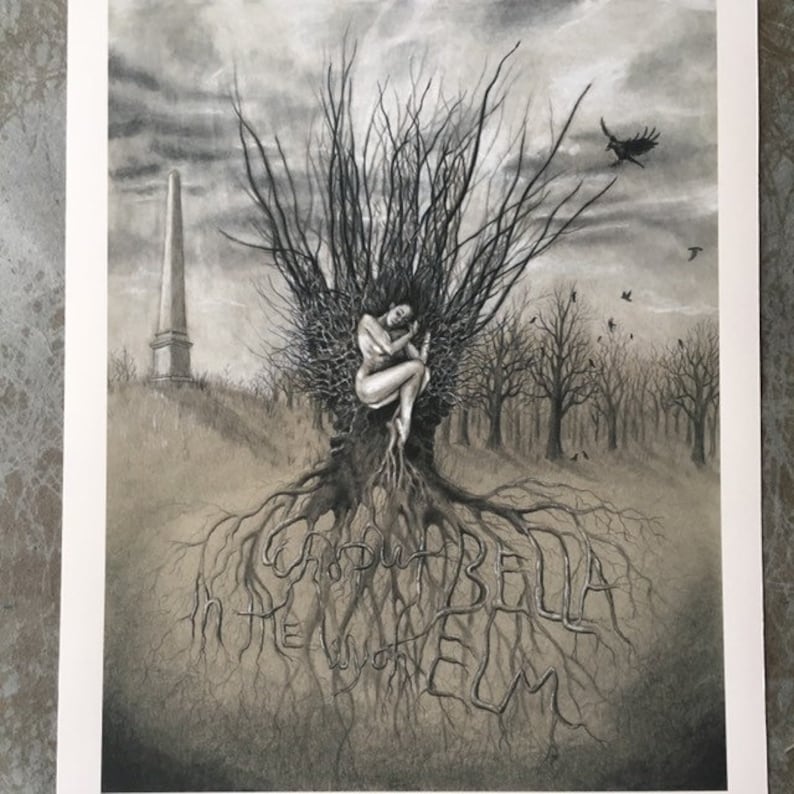 Who Put Bella in the Wych Elm Etsy Who Put Bella in the Wych Elm Etsy