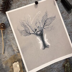 Pisces Tree