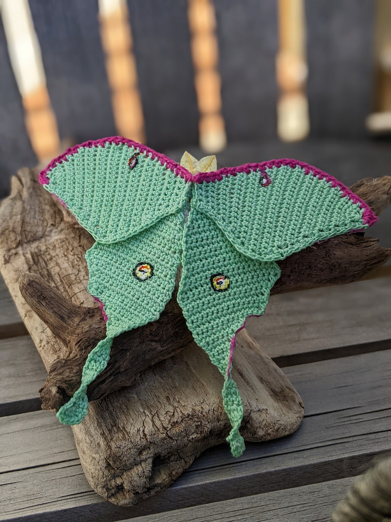 May include: A crocheted green moth with pink accents and yellow eyes. The moth is sitting on a piece of driftwood.