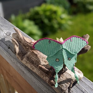 May include: A crocheted green and pink moth with beaded eyes, perched on a piece of driftwood.