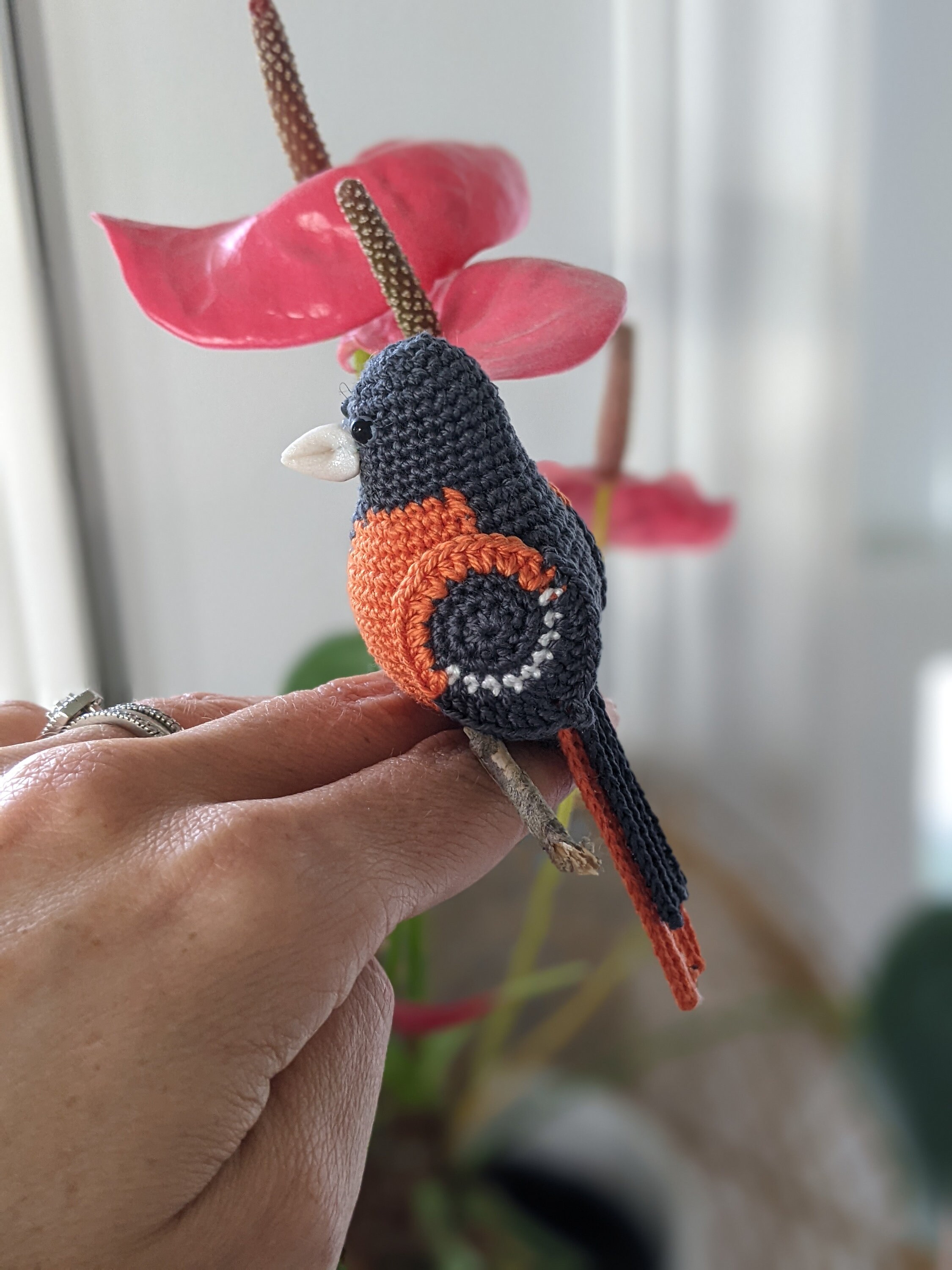 Baltimore Oriole Crochet Pattern - Etsy
