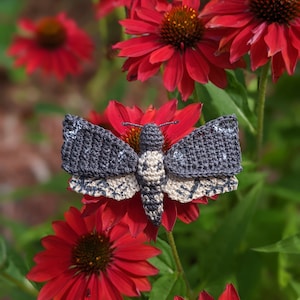 May include: A crocheted moth with black and white wings is perched on a red flower. The flower has a yellow center and is surrounded by green leaves.