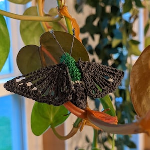 Hummingbird Moth Crochet Pattern