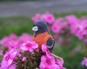 Baltimore Oriole Crochet Pattern - Etsy