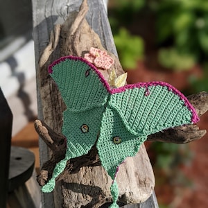 May include: A crocheted green and pink moth with large eyes. The moth is sitting on a piece of driftwood.