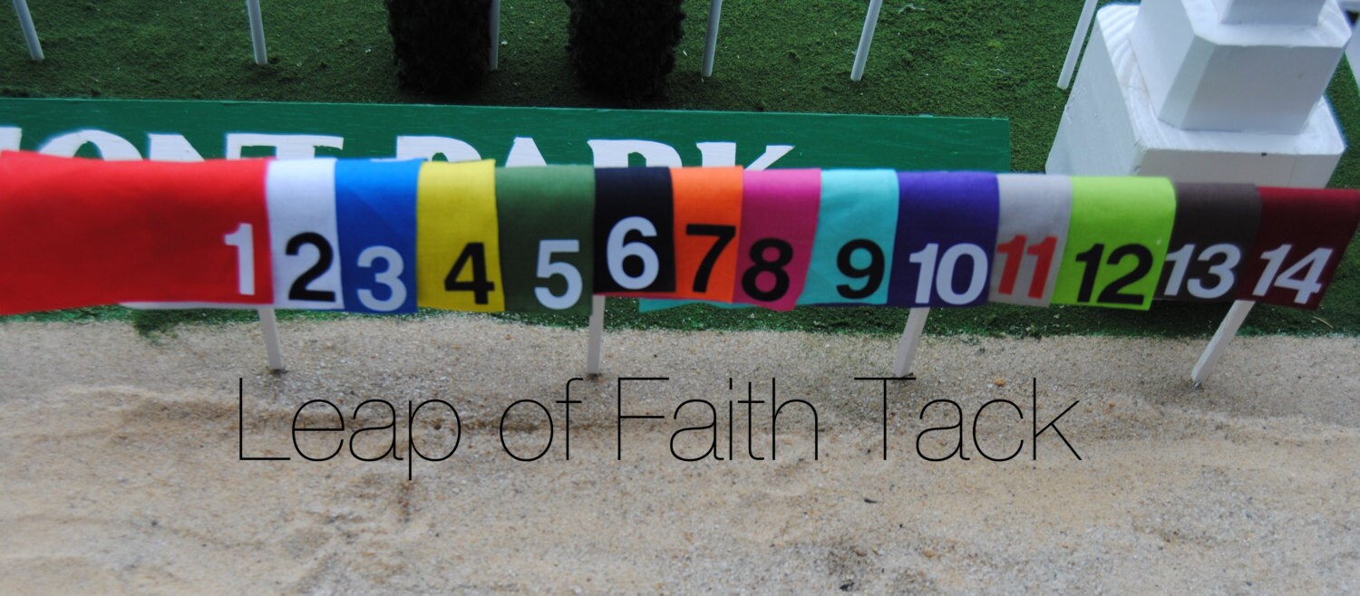 Model Horse Racing Saddle Cloth14 COLOR OPTIONSFits Etsy