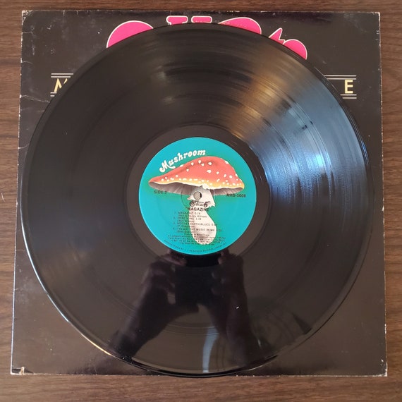 Vintage Heart 'magazine' LP: 1978 Classic Rock Vinyl Album - Etsy