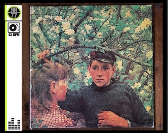 1982 Echo And The Bunnymen – The Back Of Love, 12inch 45 RPM,New Wave, Indie Rock, Album, LP, Vinyl, Records