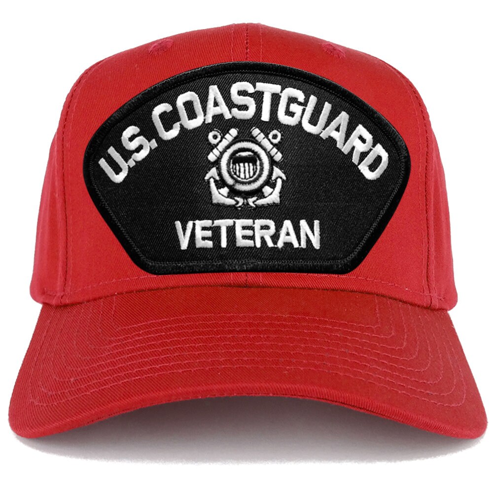 Il Ferro Della Toppa Dell'aeronautica Degli Stati Uniti Cuce Sul - Foto 6