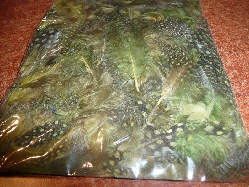 Touch Of Nature Guinea Feathers 1.25 To 4 Inch