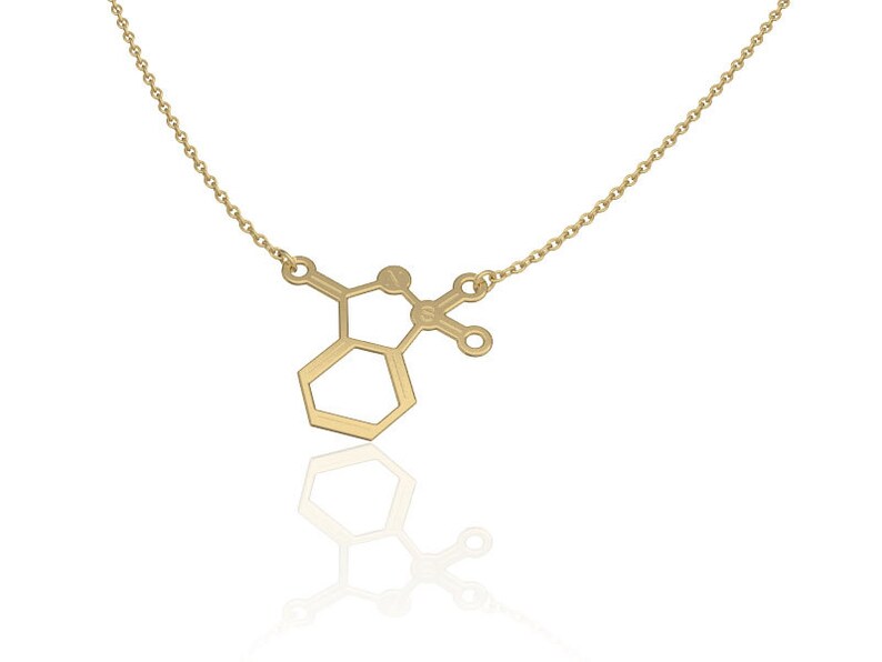 sterling silver necklace womens jewelry molecule necklace Saccharin molecule science jewelry chemistry necklace