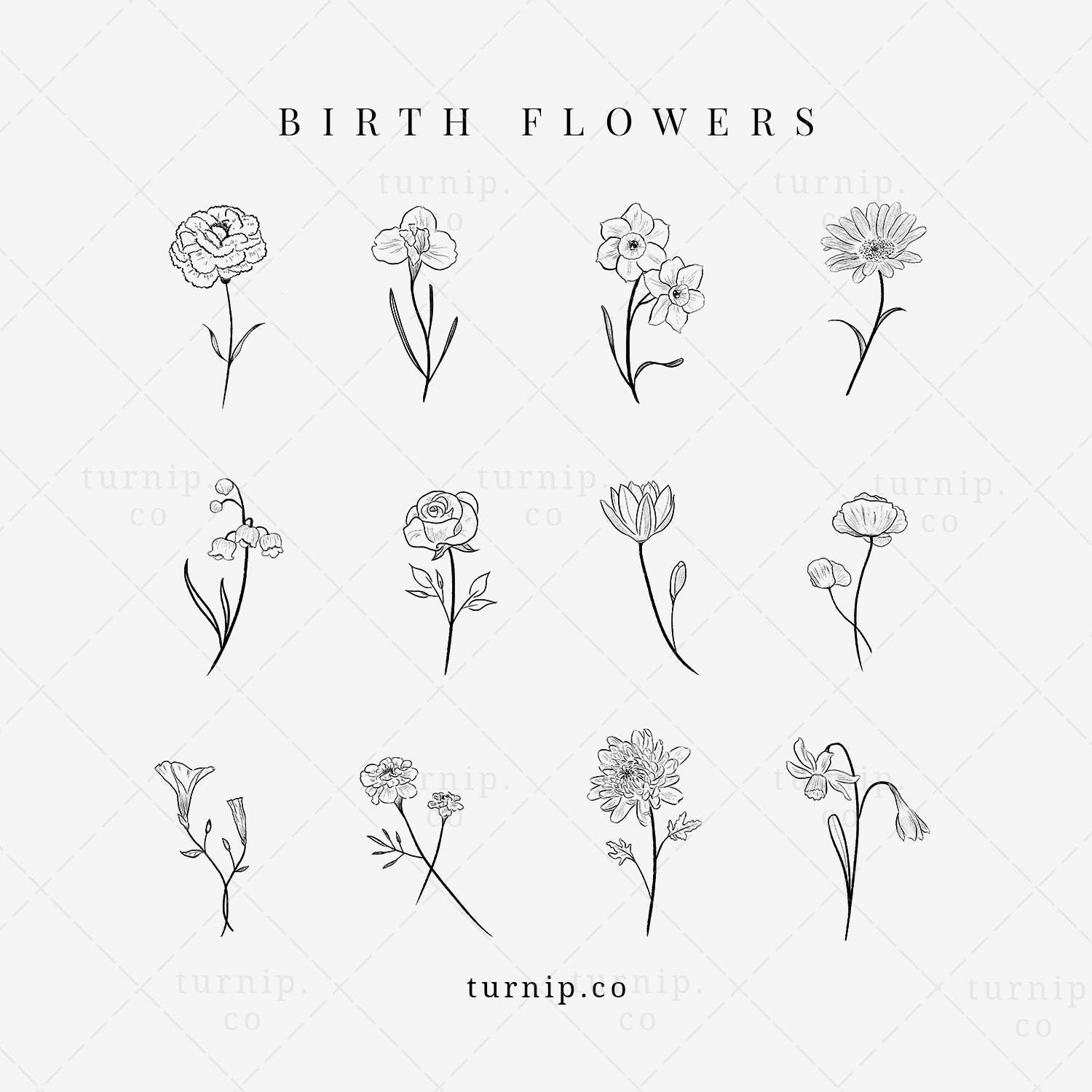 Birth Flower Clipart Rose Iris Lily Clipart Birth Month Etsy