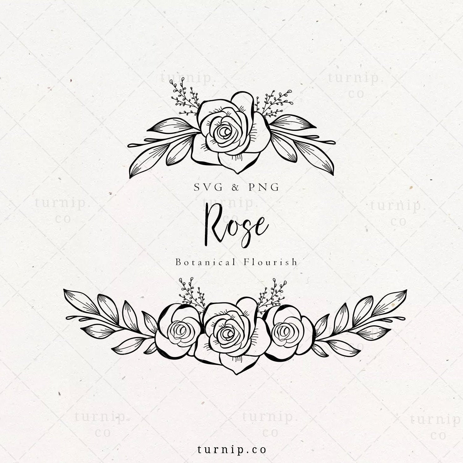 Rose Border SVG and PNG Flower Frame Wedding Rose Border 