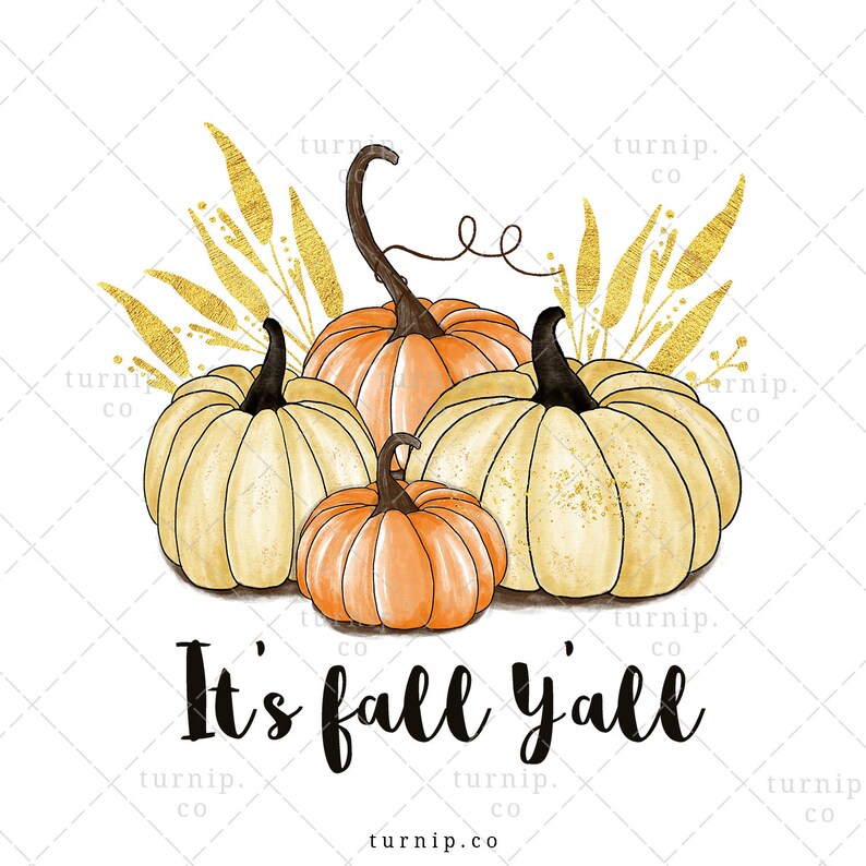 It's Fall Y'all Pumpkins Sublimation Clipart Design Cartoon PNG