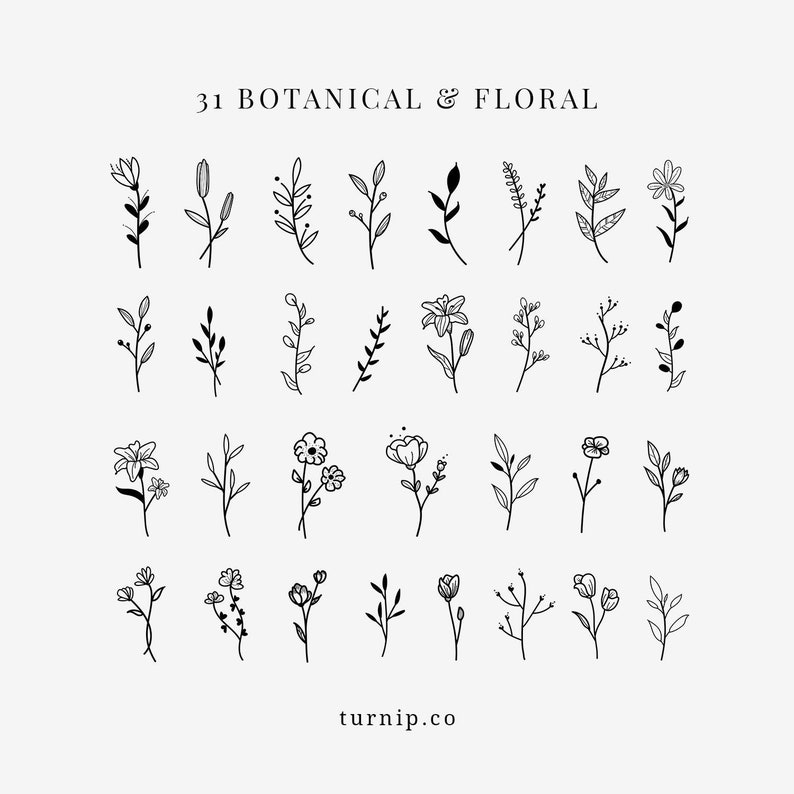 Botanical Floral Elegant Black Clipart Bundle Set Cartoon PNG