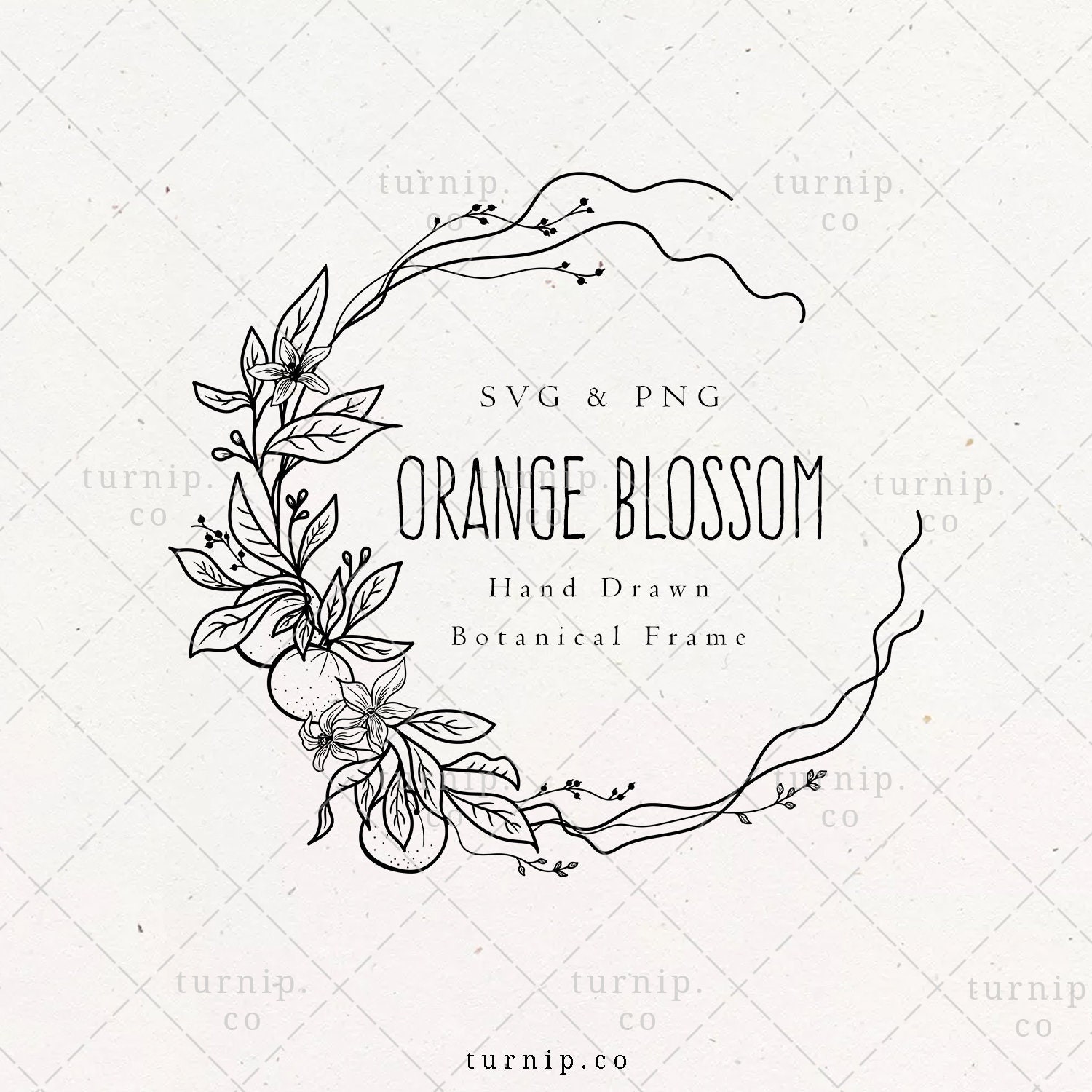 Orange Blossom SVG &amp; PNG Clipart Sublimation Graphic Design / | Etsy