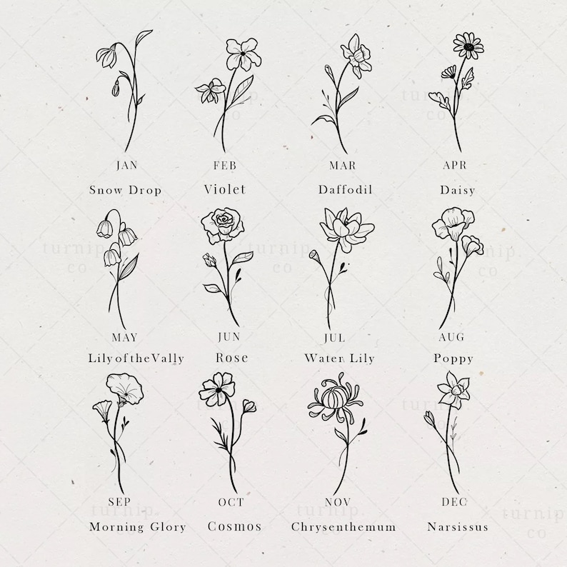 Download Birth Month Flowers SVG Clipart Birthday Floral Bundle ...