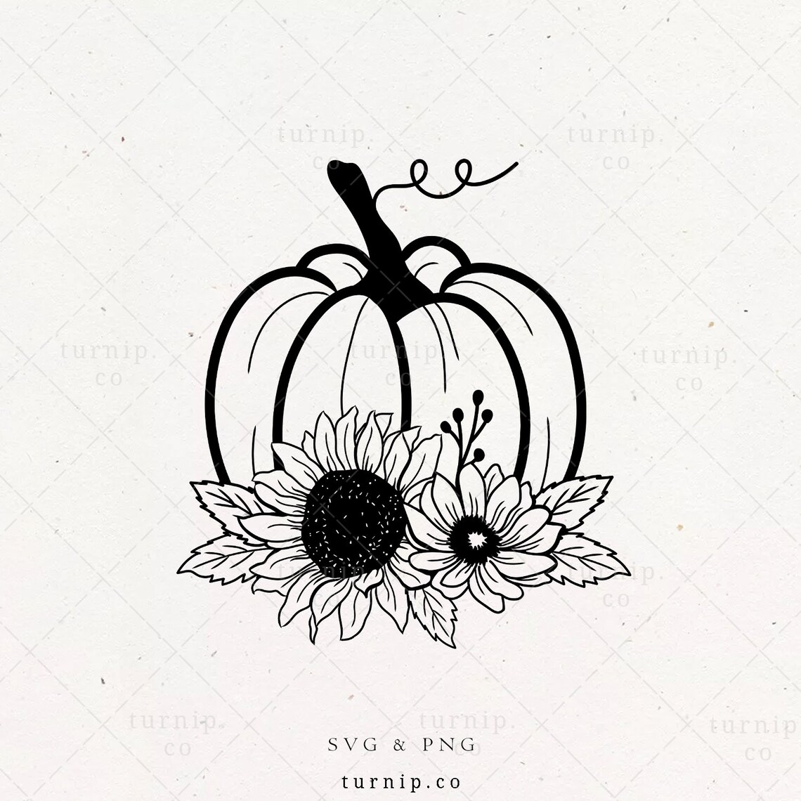 Free Free 143 Pumpkin And Sunflower Svg SVG PNG EPS DXF File