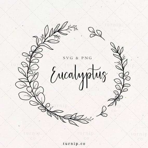 Download Eucalyptus Wreath SVG Leaf Frame Clipart Hand Drawn Circle ...