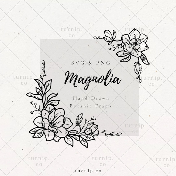 Magnolia Square Flower Frame Svg Png Clipart Sublimation Etsy