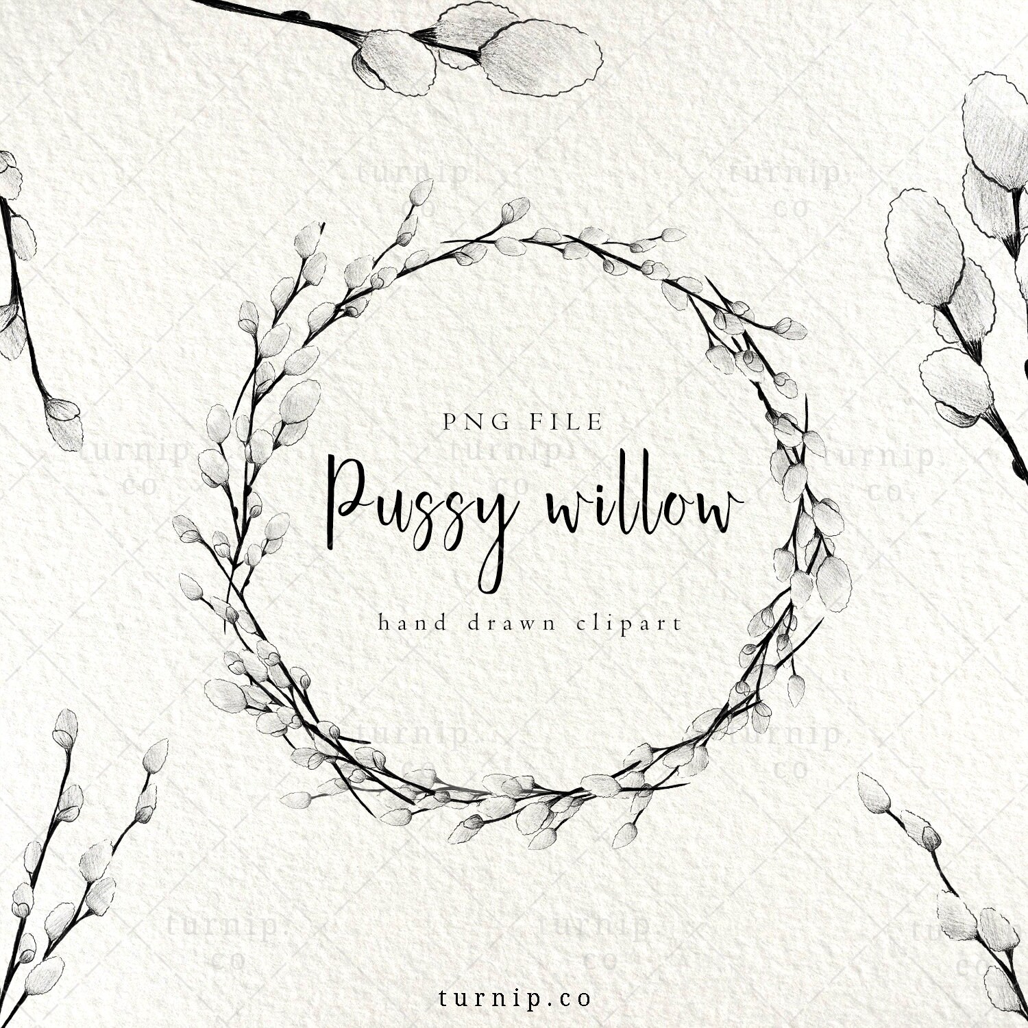 Wreath Clipart Black And White Pussy Willow Wreath Png Etsy