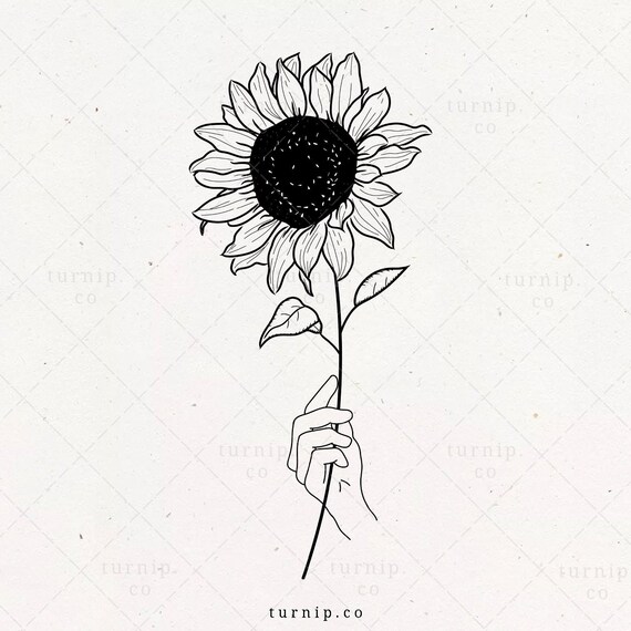Download Hand Holding Sunflower Svg Sunflower Sublimation Png Clipart Etsy