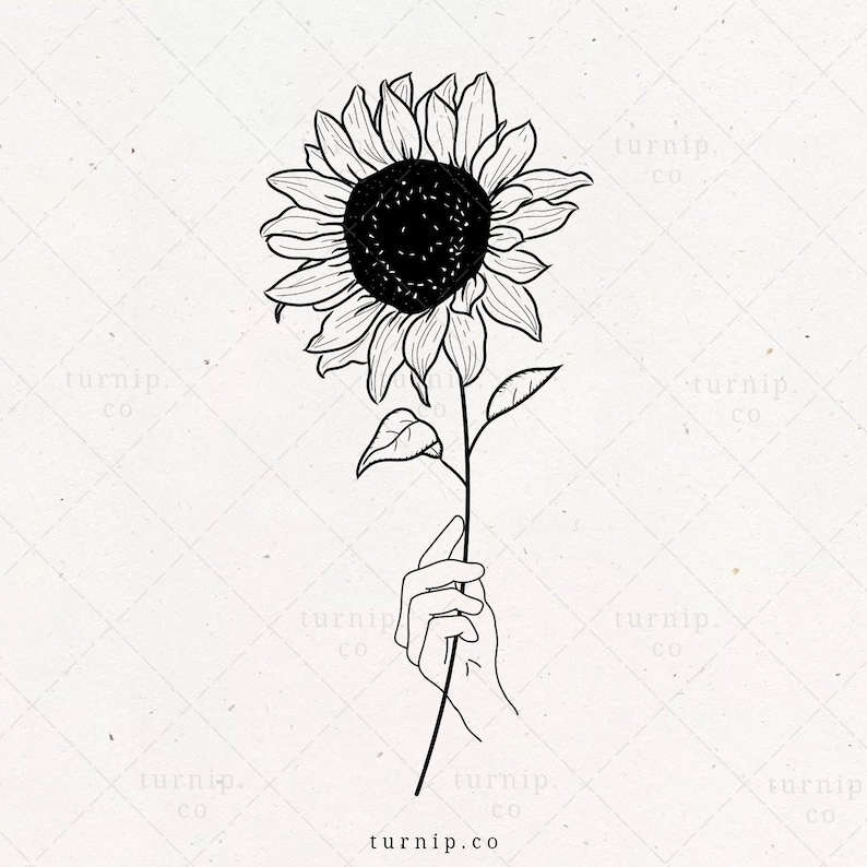 Hand Holding Sunflower SVG sunflower sublimation png clipart image 0