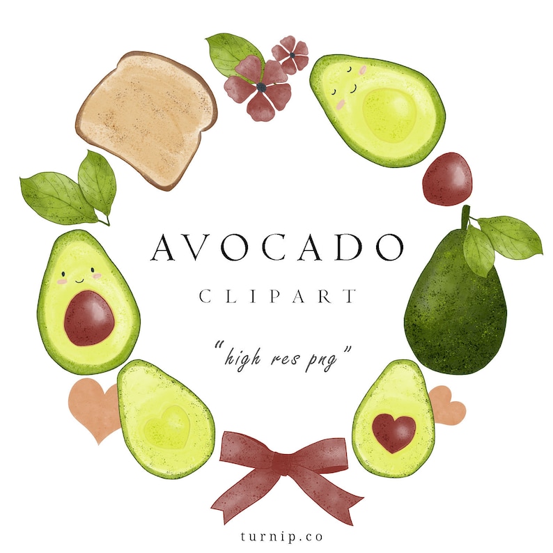 Watercolor Avocado Clipart Cute Pictures Set Cartoon PNG