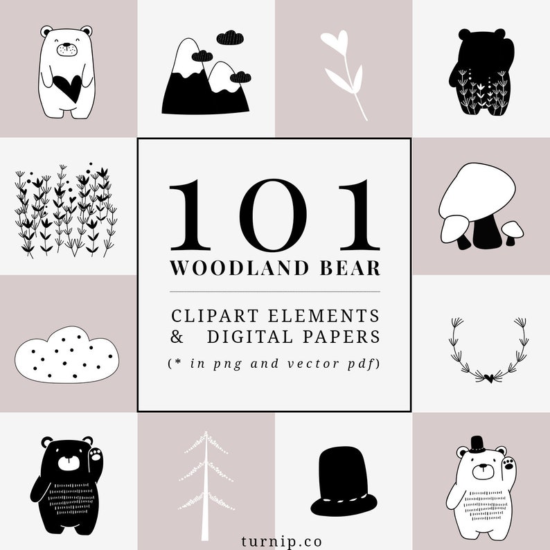 101 Bear Cartoon Images Clipart Set Cartoon PNG