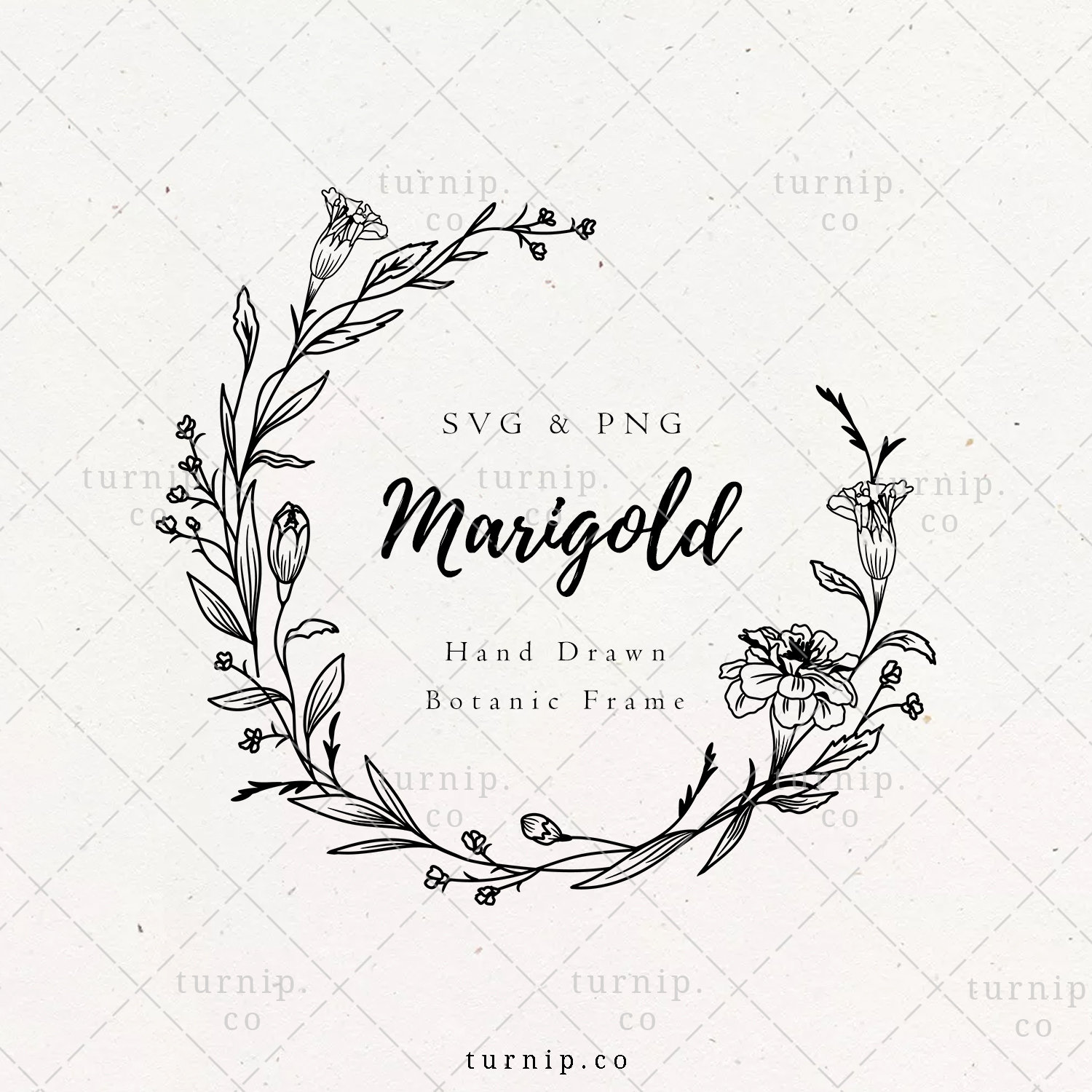 Marigold Flower SVG Cut File / Flor De Muerto / Cempasuchil / Day