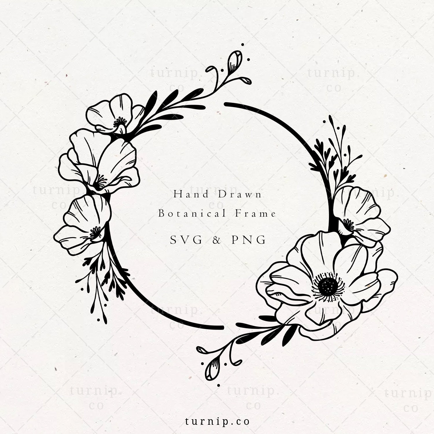 Free SVGs download - Rose SVG, rose PNG, Wedding flowers, Flowers SVG