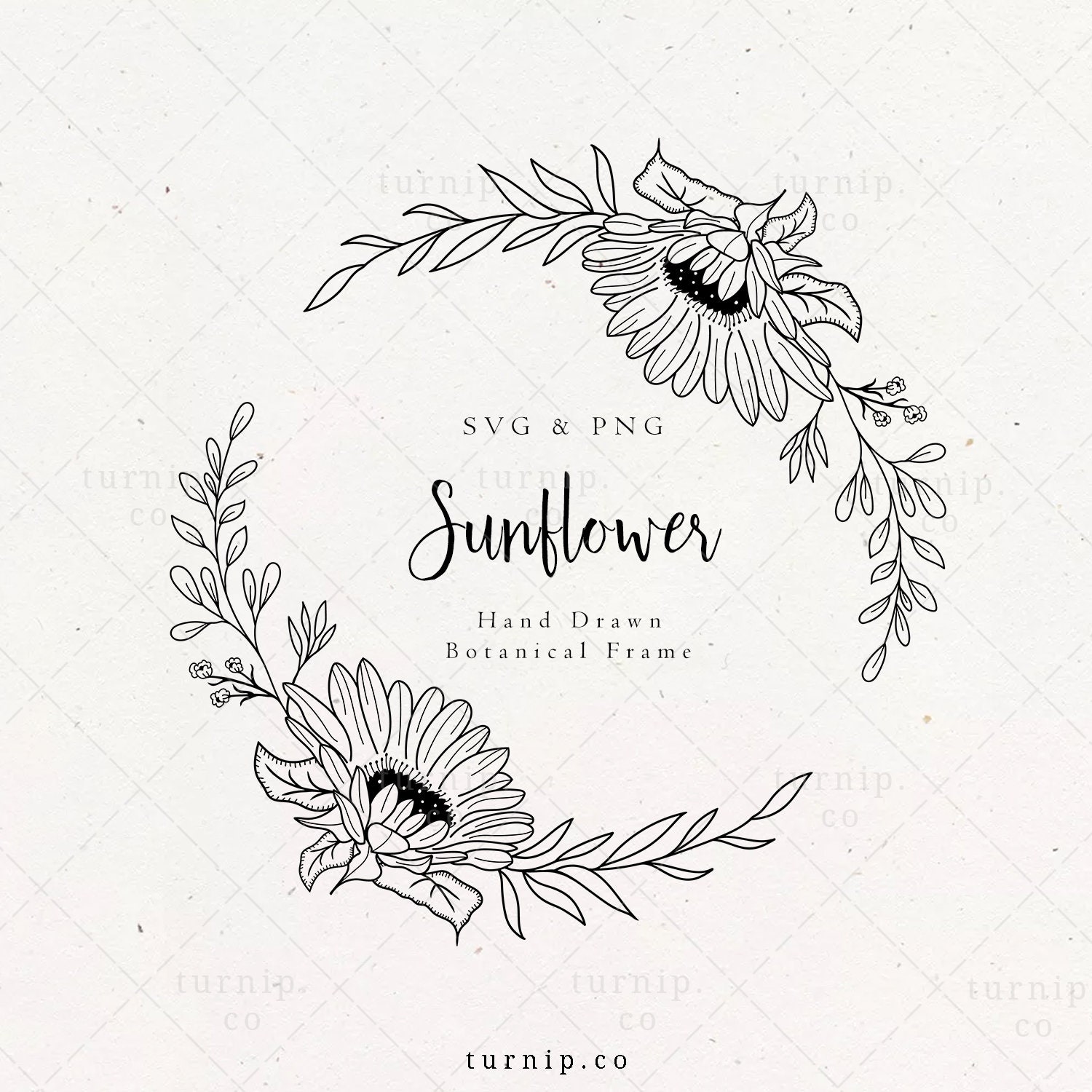Sunflower Wreath SVG & PNG Clipart Border Frame Half Floral - Etsy