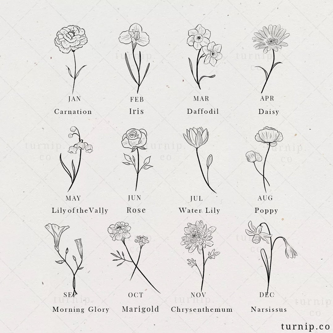 birth-flower-clipart-rose-iris-lily-clipart-birth-month-lupon-gov-ph