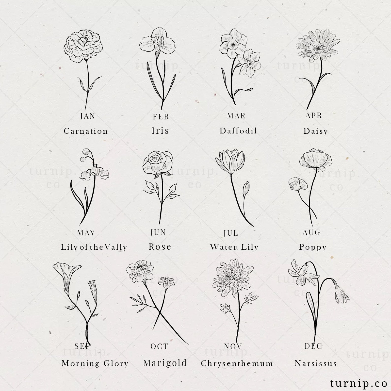 Geburtsblumen Clipart Rose Iris Lilie Clipart Geburtsmonat Etsy de