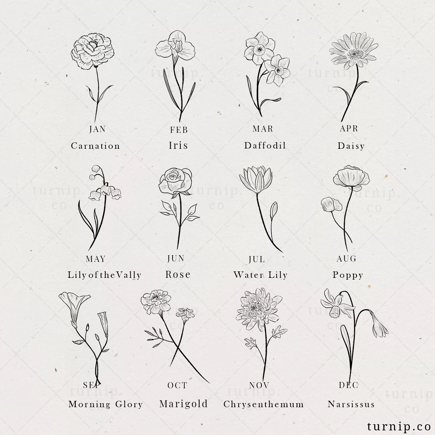 What You'll Get In This Elegant Black Birth Flower Clipart Bundle Set ...