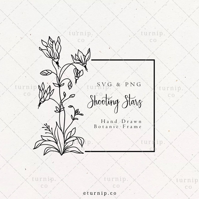 Shooting Star Flower Square Wreath SVG & PNG Clipart Etsy