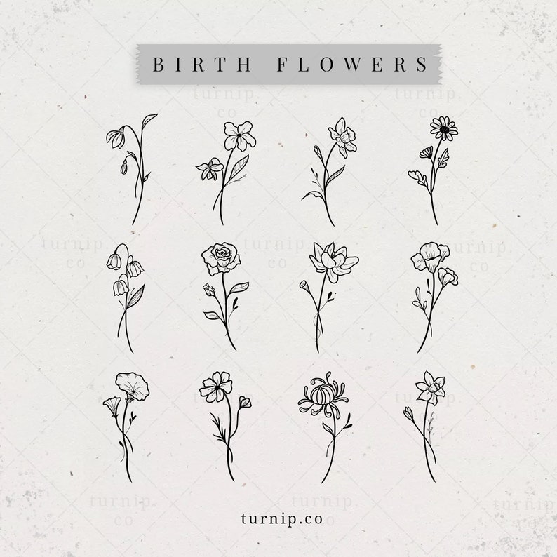 Birth Month Flowers Svg Clipart Birthday Floral Bundle Hand Etsy