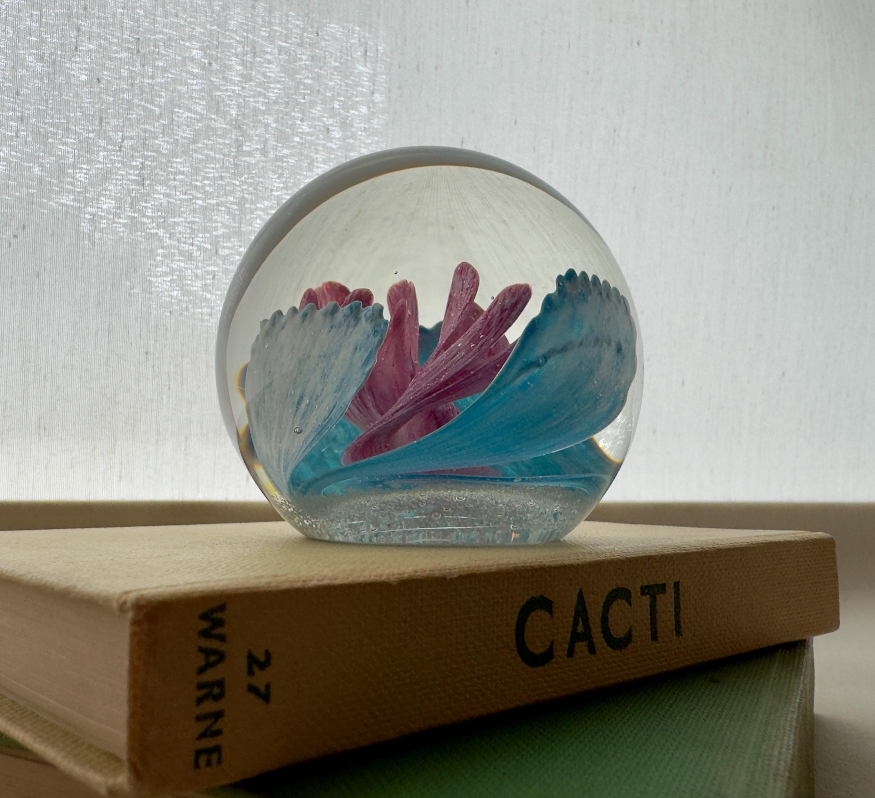 Caithness Paperweight Numbered - Etsy