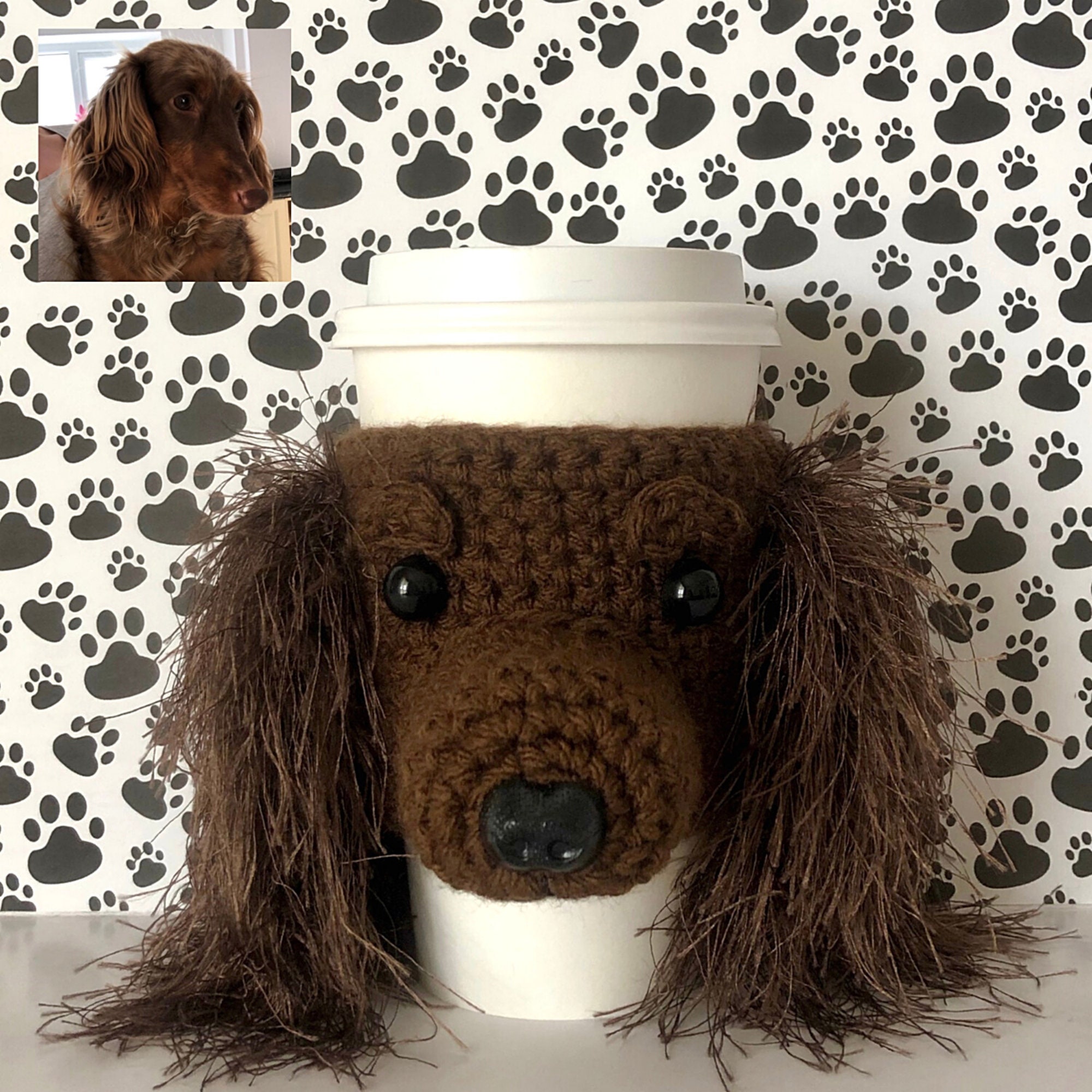 Long Haired Dachshund Dachshund Gifts Miniature Dachshund Etsy