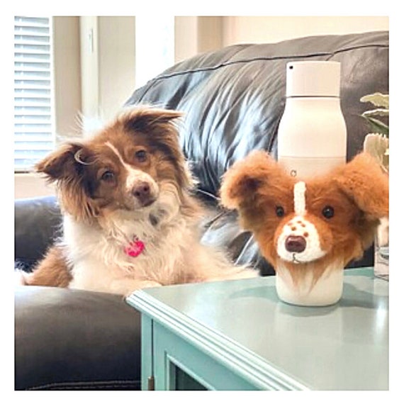 personalized dog items